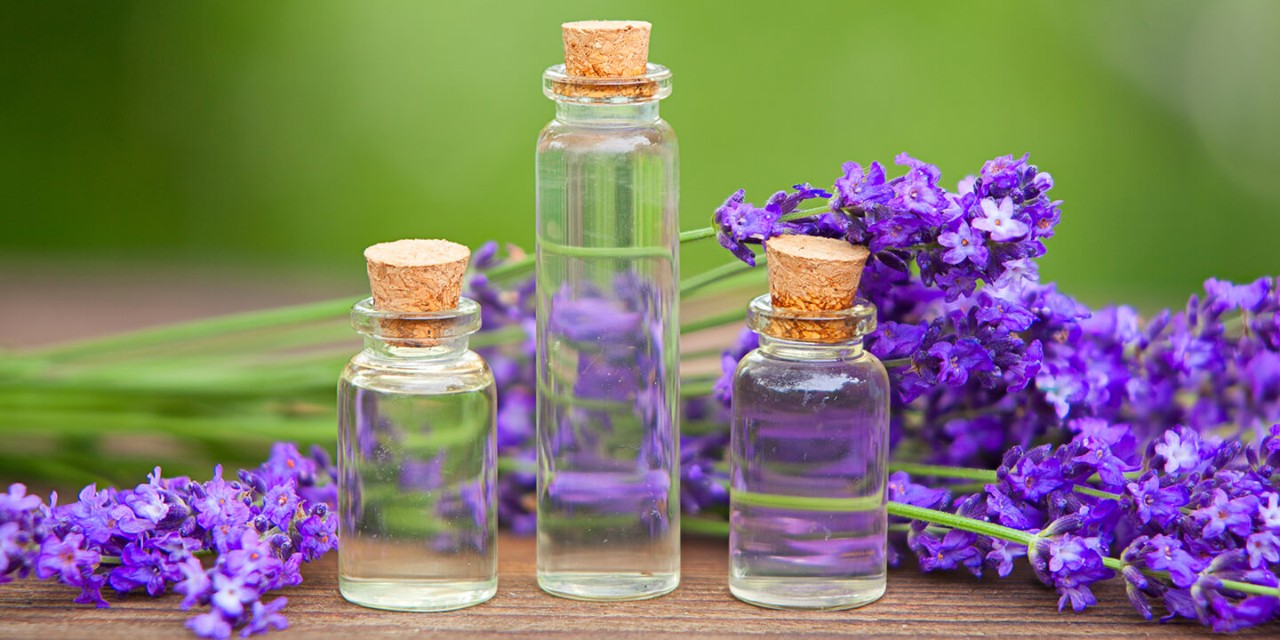 Tubos vazios de fragrâncias e ramos de lavanda